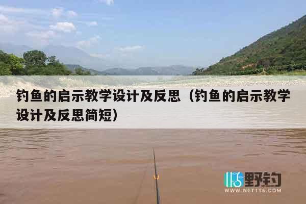 钓鱼的启示教学设计及反思（钓鱼的启示教学设计及反思简短）