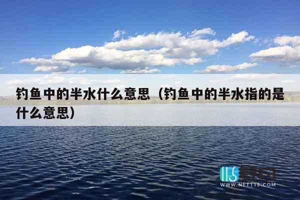 钓鱼中的半水什么意思（钓鱼中的半水指的是什么意思）