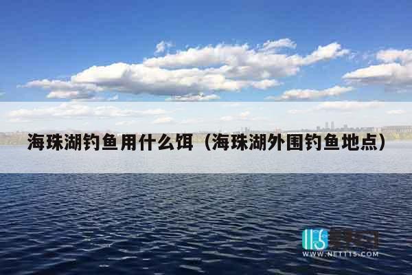 海珠湖钓鱼用什么饵（海珠湖外围钓鱼地点）