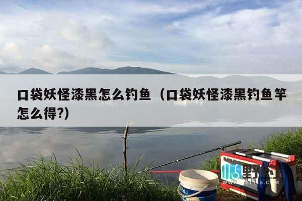 口袋妖怪漆黑怎么钓鱼（口袋妖怪漆黑钓鱼竿怎么得?）