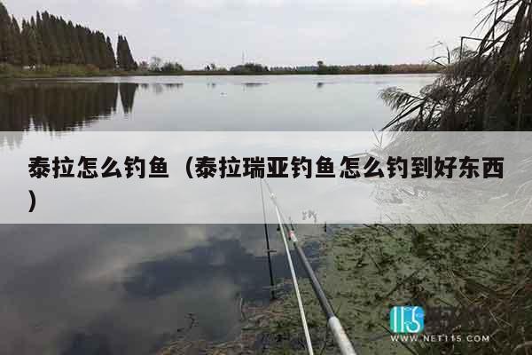 泰拉怎么钓鱼（泰拉瑞亚钓鱼怎么钓到好东西）