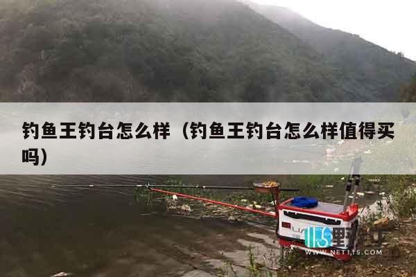 钓鱼王钓台怎么样（钓鱼王钓台怎么样值得买吗）