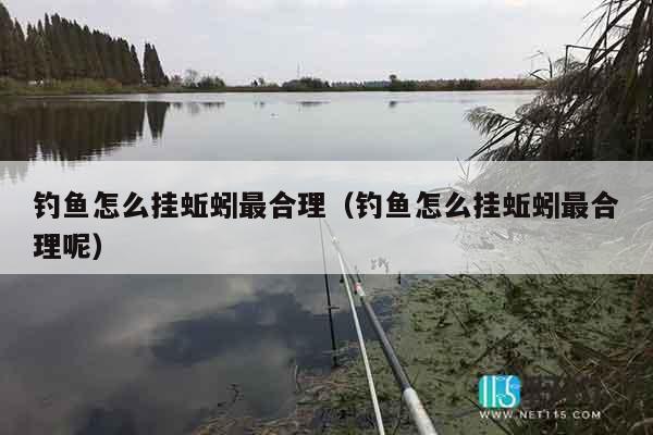钓鱼怎么挂蚯蚓最合理（钓鱼怎么挂蚯蚓最合理呢）
