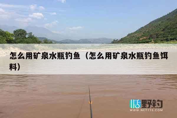 怎么用矿泉水瓶钓鱼（怎么用矿泉水瓶钓鱼饵料）