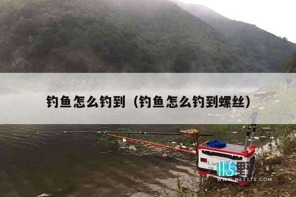 钓鱼怎么钓到（钓鱼怎么钓到螺丝）