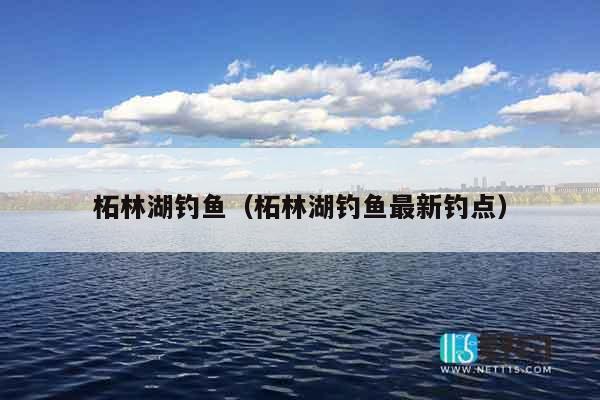 柘林湖钓鱼（柘林湖钓鱼最新钓点）