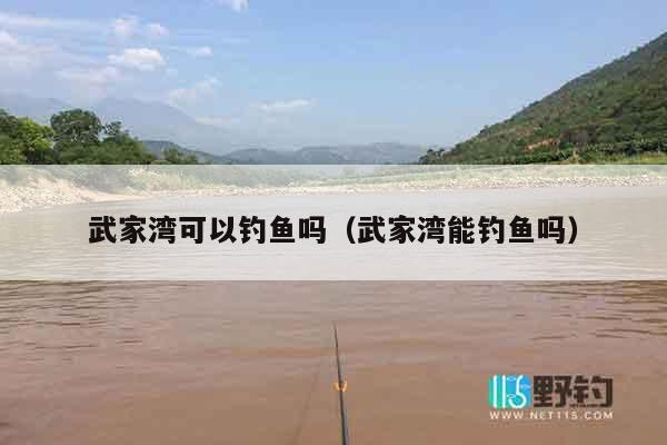 武家湾可以钓鱼吗（武家湾能钓鱼吗）