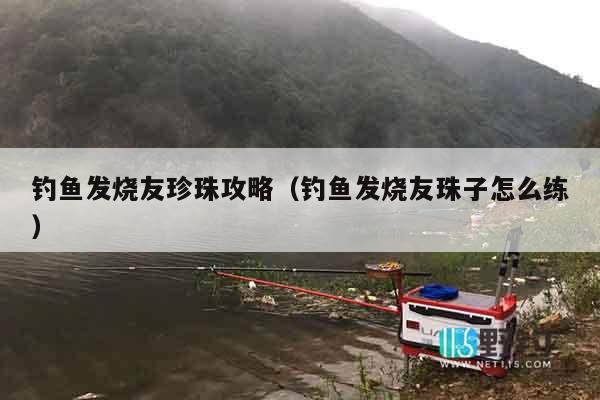 钓鱼发烧友珍珠攻略（钓鱼发烧友珠子怎么练）