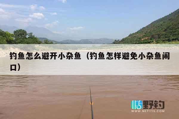 钓鱼怎么避开小杂鱼（钓鱼怎样避免小杂鱼闹口）