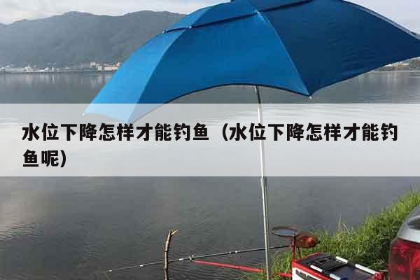 水位下降怎样才能钓鱼（水位下降怎样才能钓鱼呢）