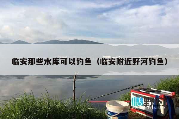 临安那些水库可以钓鱼（临安附近野河钓鱼）