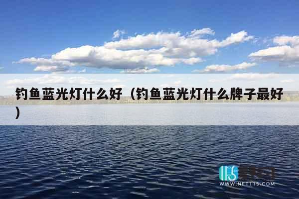 钓鱼蓝光灯什么好（钓鱼蓝光灯什么牌子最好）