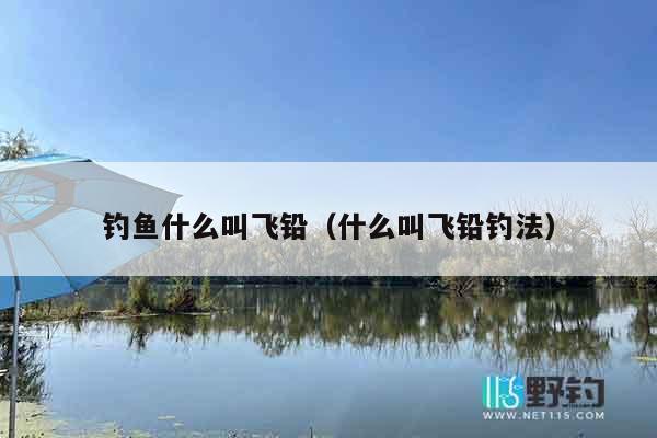 钓鱼什么叫飞铅（什么叫飞铅钓法）