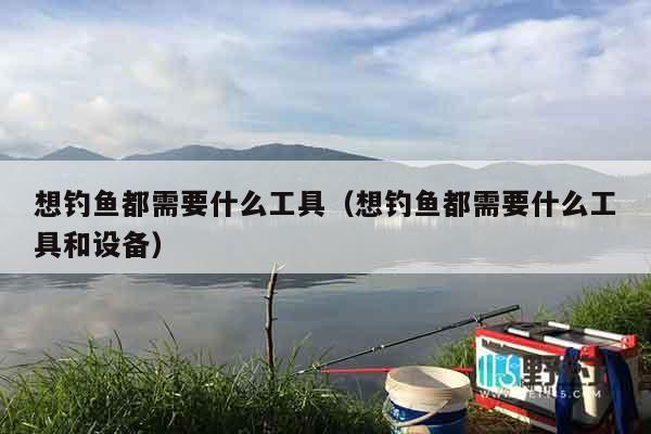 想钓鱼都需要什么工具（想钓鱼都需要什么工具和设备）