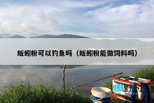 蚯蚓粉可以钓鱼吗（蚯蚓粉能做饲料吗）