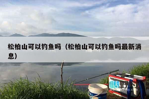 松柏山可以钓鱼吗（松柏山可以钓鱼吗最新消息）