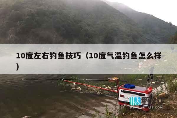 10度左右钓鱼技巧（10度气温钓鱼怎么样）
