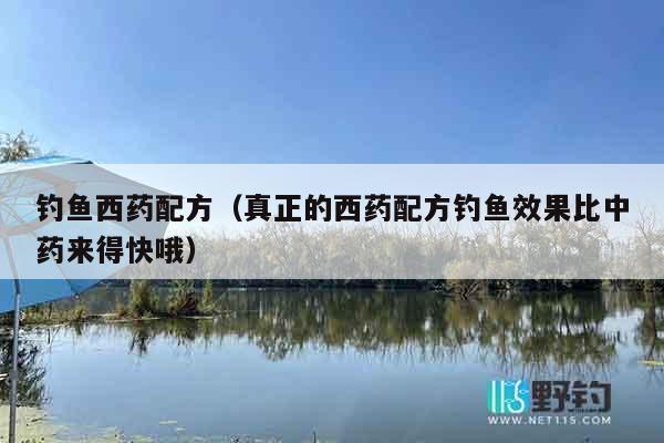 钓鱼西药配方（真正的西药配方钓鱼效果比中药来得快哦）