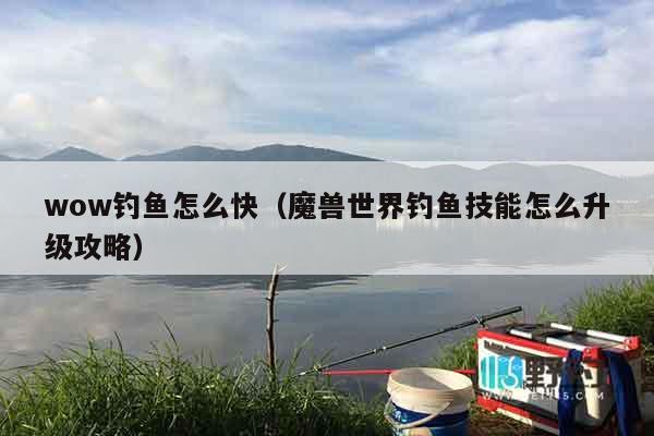 wow钓鱼怎么快（魔兽世界钓鱼技能怎么升级攻略）