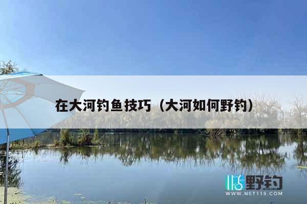 在大河钓鱼技巧（大河如何野钓）