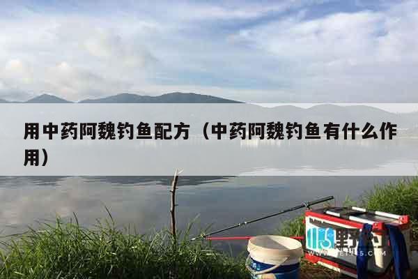 用中药阿魏钓鱼配方（中药阿魏钓鱼有什么作用）