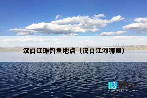 汉口江滩钓鱼地点（汉口江滩哪里）