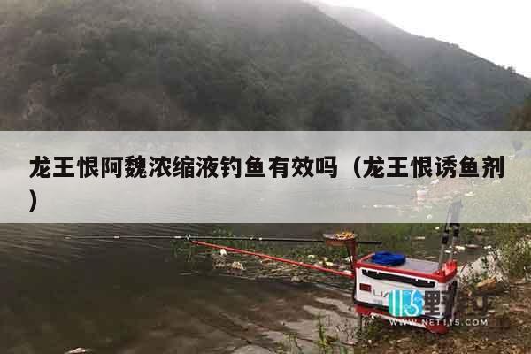 龙王恨阿魏浓缩液钓鱼有效吗（龙王恨诱鱼剂）