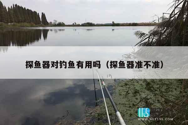 探鱼器对钓鱼有用吗（探鱼器准不准）