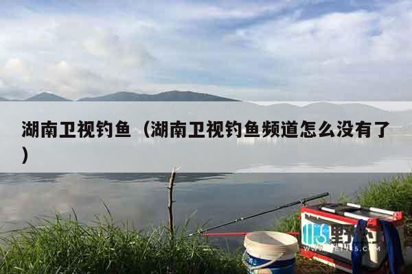 湖南卫视钓鱼（湖南卫视钓鱼频道怎么没有了）