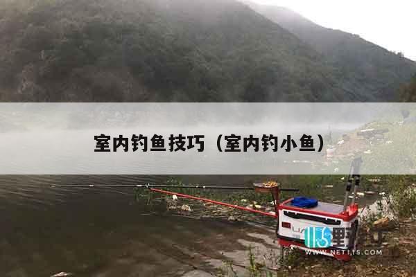室内钓鱼技巧（室内钓小鱼）