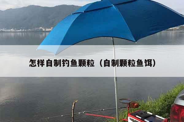 怎样自制钓鱼颗粒（自制颗粒鱼饵）