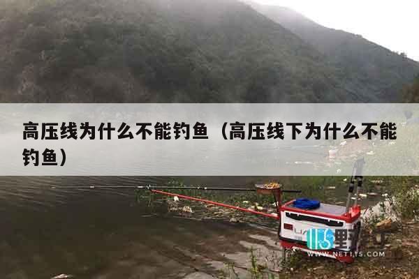 高压线为什么不能钓鱼（高压线下为什么不能钓鱼）