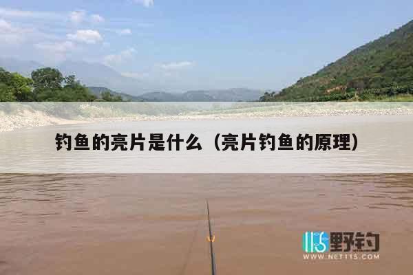 钓鱼的亮片是什么（亮片钓鱼的原理）