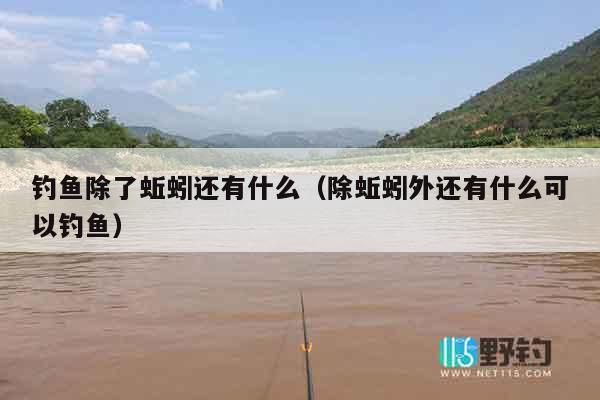 钓鱼除了蚯蚓还有什么（除蚯蚓外还有什么可以钓鱼）