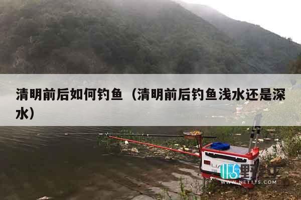 清明前后如何钓鱼（清明前后钓鱼浅水还是深水）