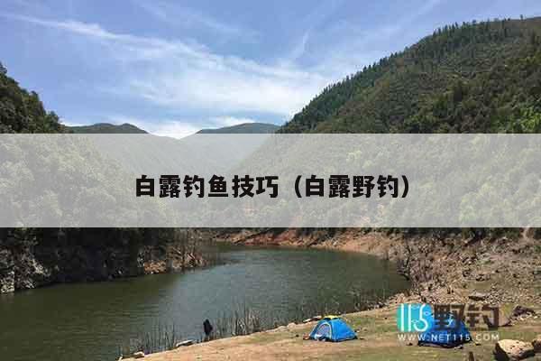 白露钓鱼技巧（白露野钓）