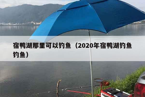 宿鸭湖那里可以钓鱼（2020年宿鸭湖钓鱼钓鱼）