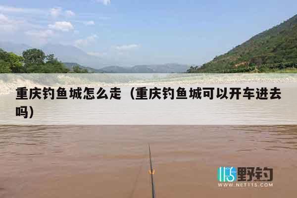 重庆钓鱼城怎么走（重庆钓鱼城可以开车进去吗）