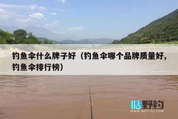 钓鱼伞什么牌子好（钓鱼伞哪个品牌质量好,钓鱼伞排行榜）