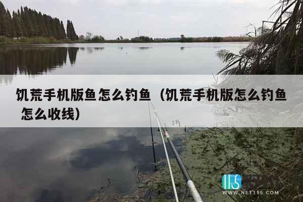 饥荒手机版鱼怎么钓鱼（饥荒手机版怎么钓鱼 怎么收线）
