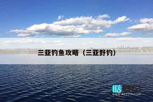 三亚钓鱼攻略（三亚野钓）