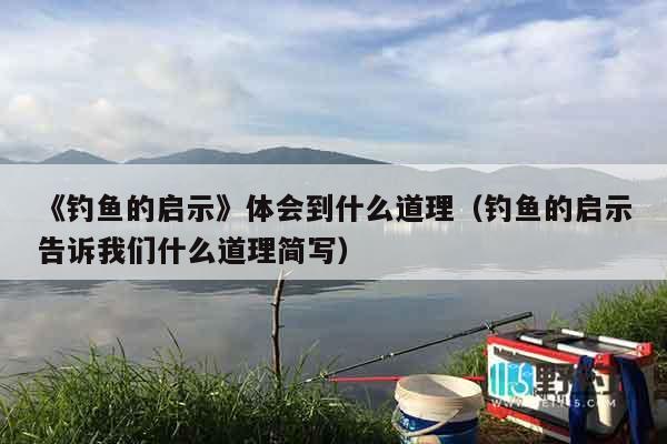 《钓鱼的启示》体会到什么道理（钓鱼的启示告诉我们什么道理简写）