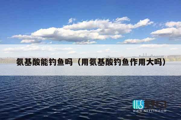 氨基酸能钓鱼吗（用氨基酸钓鱼作用大吗）