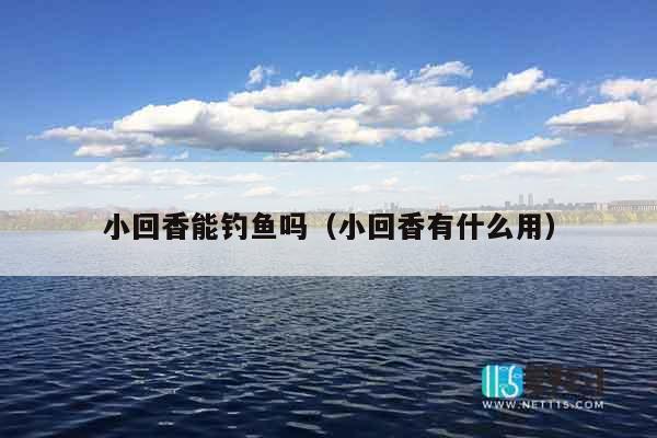 小回香能钓鱼吗（小回香有什么用）