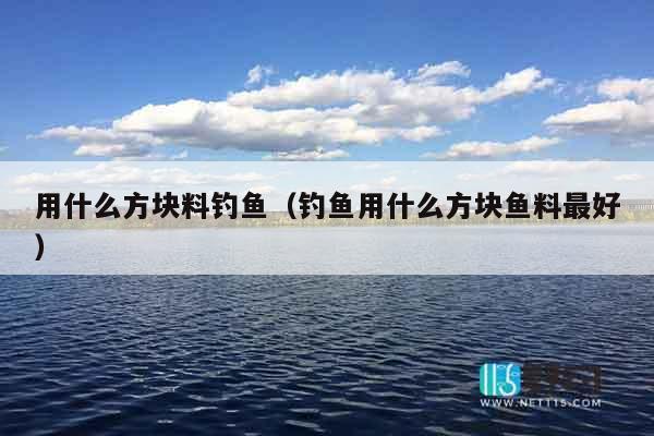 用什么方块料钓鱼（钓鱼用什么方块鱼料最好）
