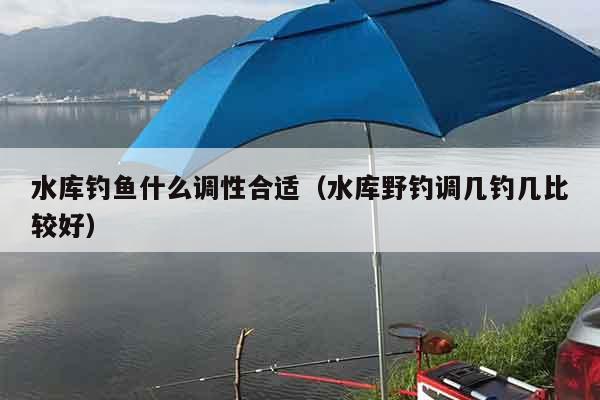 水库钓鱼什么调性合适（水库野钓调几钓几比较好）