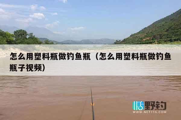 怎么用塑料瓶做钓鱼瓶（怎么用塑料瓶做钓鱼瓶子视频）