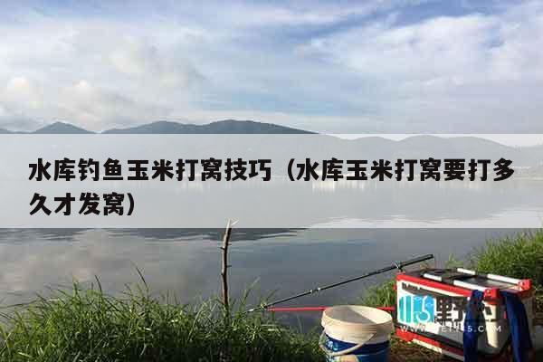 水库钓鱼玉米打窝技巧（水库玉米打窝要打多久才发窝）