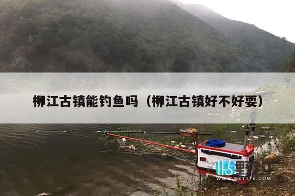 柳江古镇能钓鱼吗（柳江古镇好不好耍）