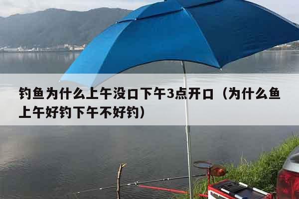 钓鱼为什么上午没口下午3点开口（为什么鱼上午好钓下午不好钓）